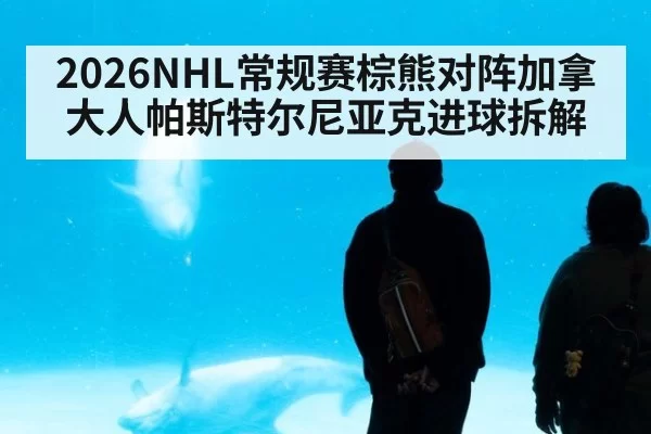 2026NHL常规赛棕熊对阵加拿大人帕斯特尔尼亚克进球拆解